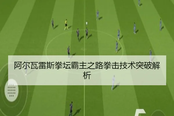 阿尔瓦雷斯拳坛霸主之路拳击技术突破解析